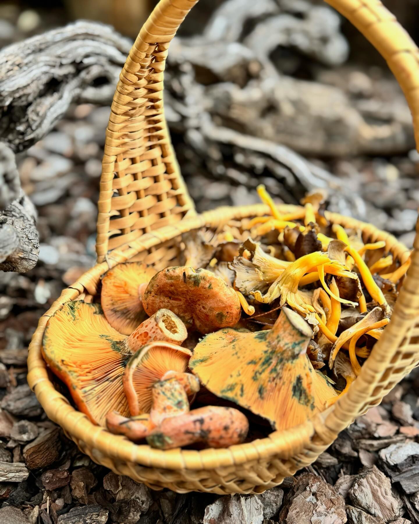 restaurante-en-tarragona 24