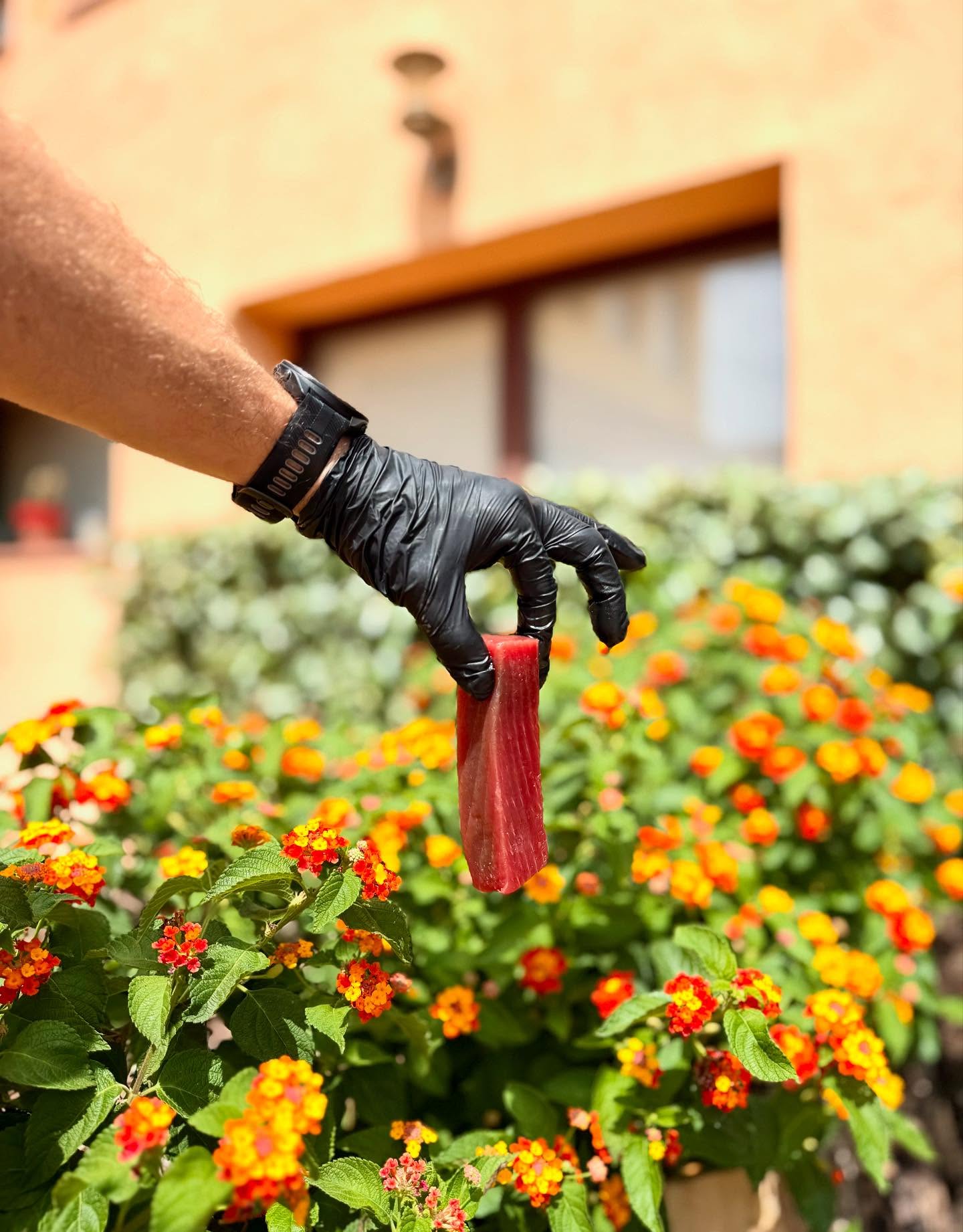 restaurante-en-tarragona 30