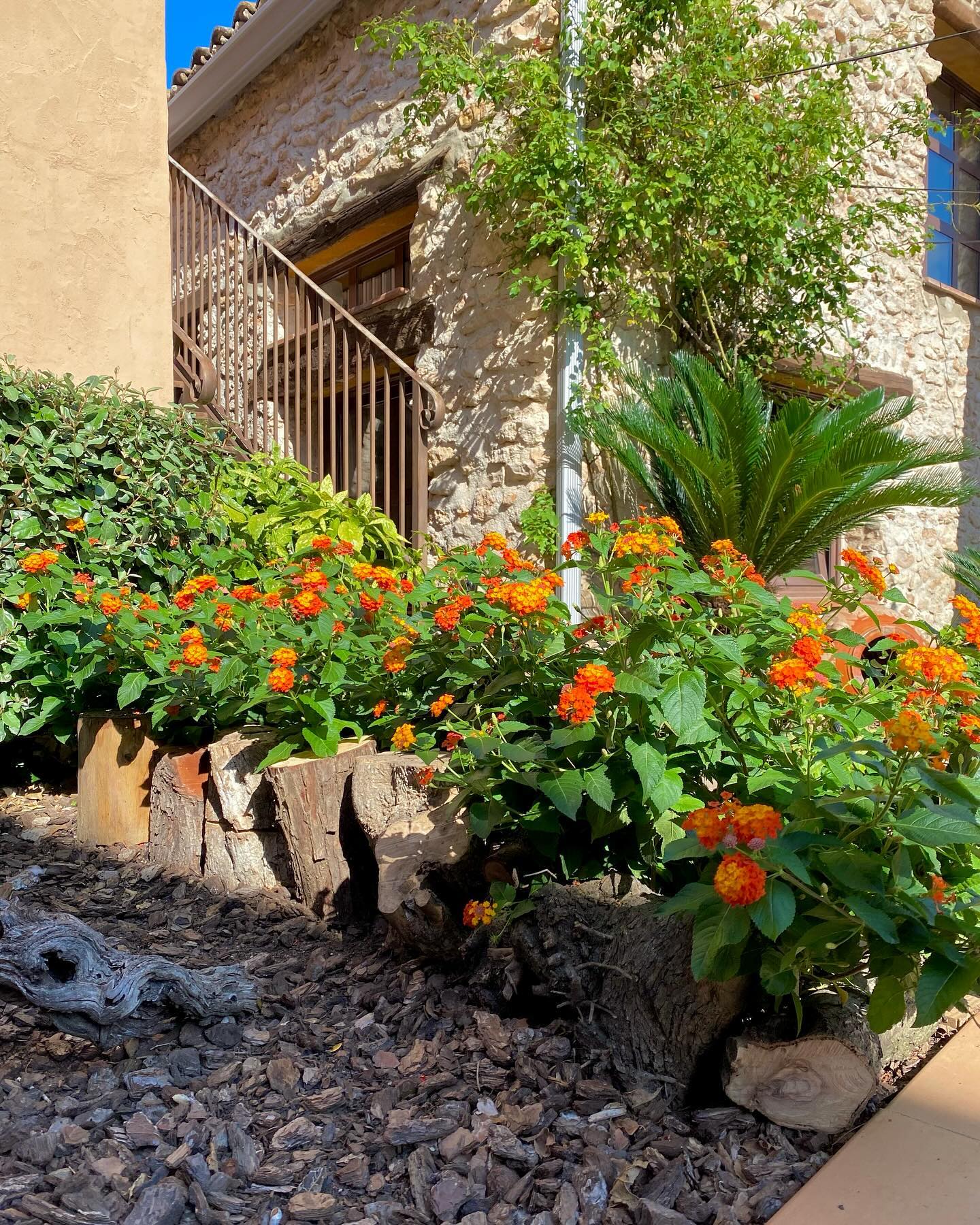 restaurante-tarragona 10