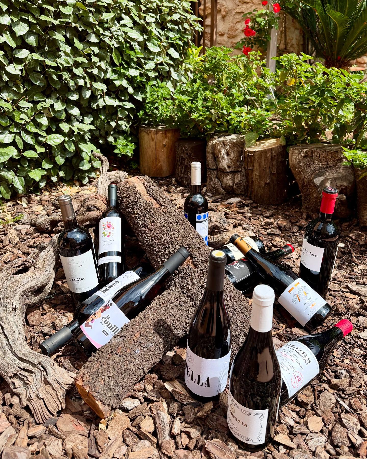 restaurante-tarragona 12