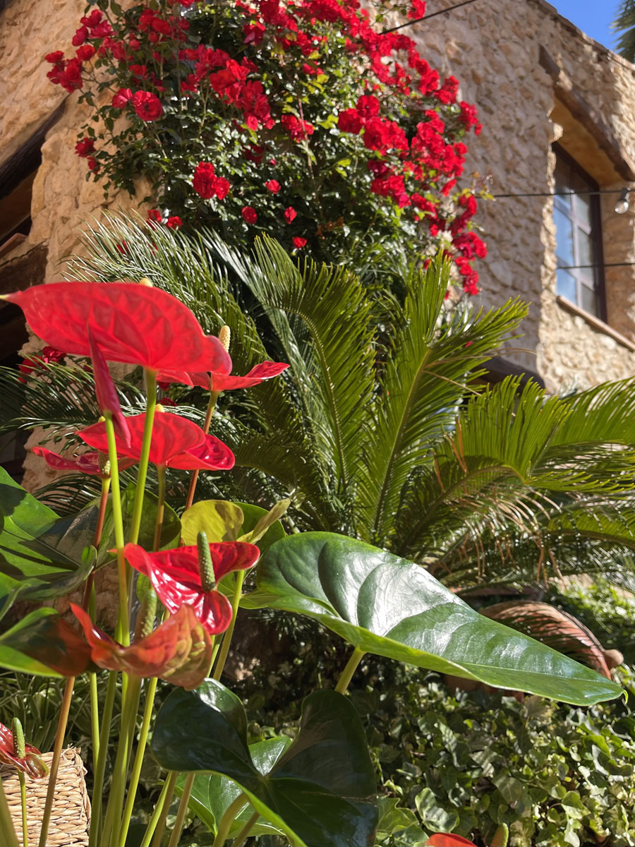 restaurante-tarragona 19