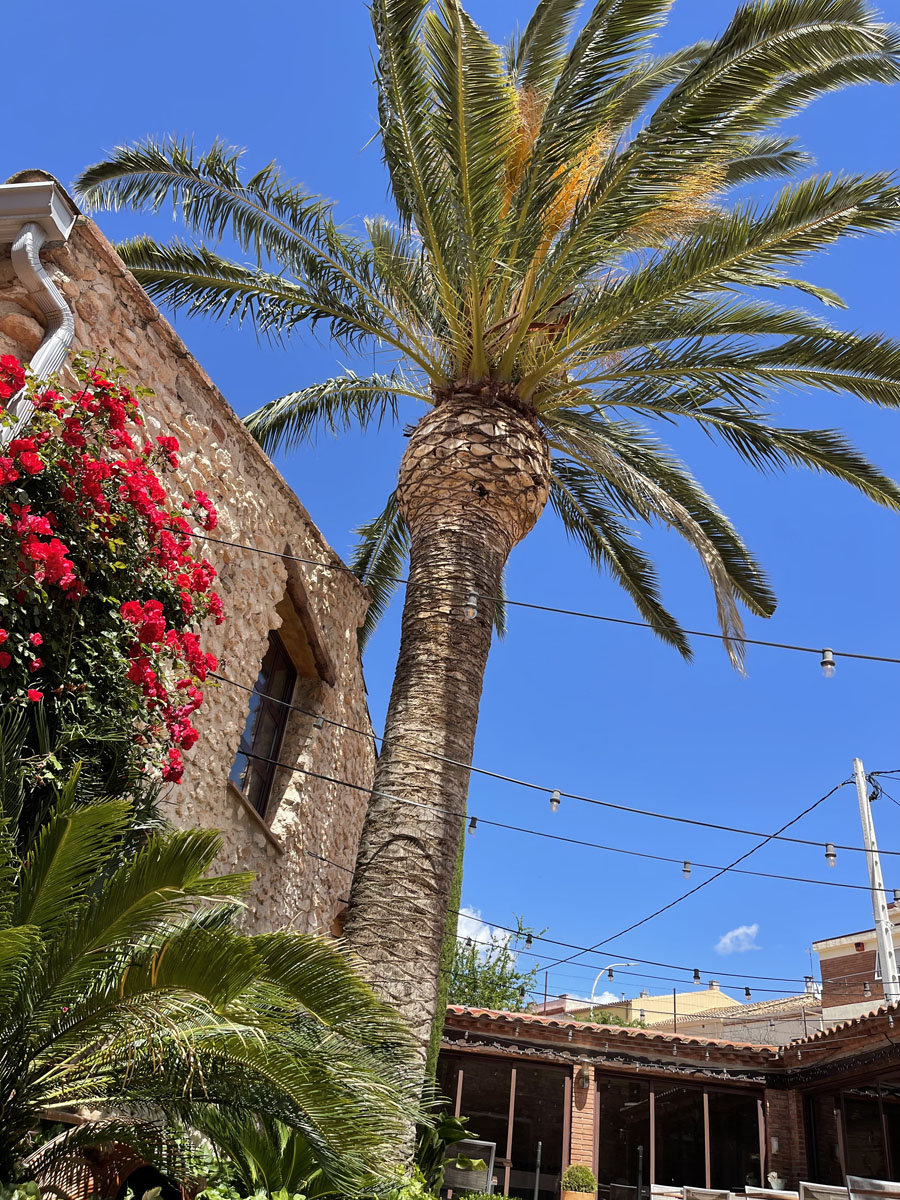 restaurante-tarragona 20